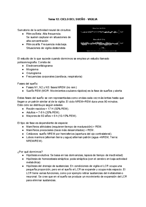 Miniatura del documento Tema-12-CICLO-DEL-SUENO-VIGILIA.pdf