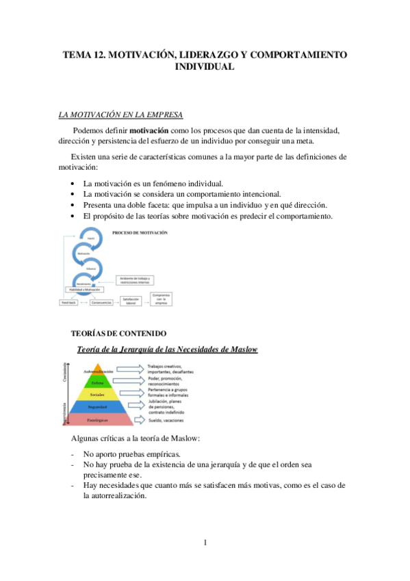 Miniatura del documento TEMA-12.-motivacion-liderazgo-y-comportamiento-individual.pdf