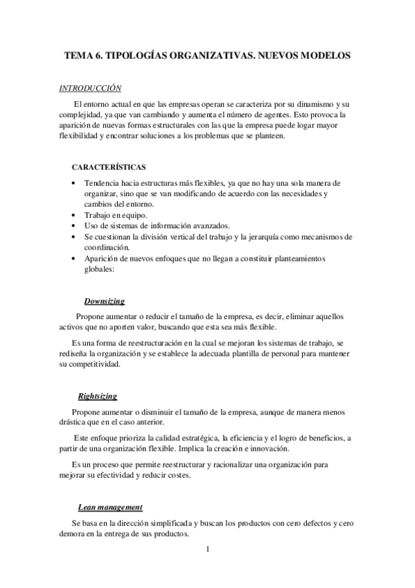 Miniatura del documento TEMA-6.-tipologias-organizativas.-Nuevos-modelos.pdf