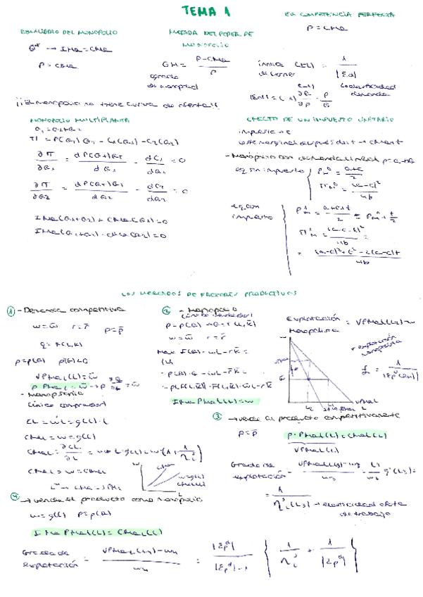 Miniatura del documento resumen-manuscritos.pdf