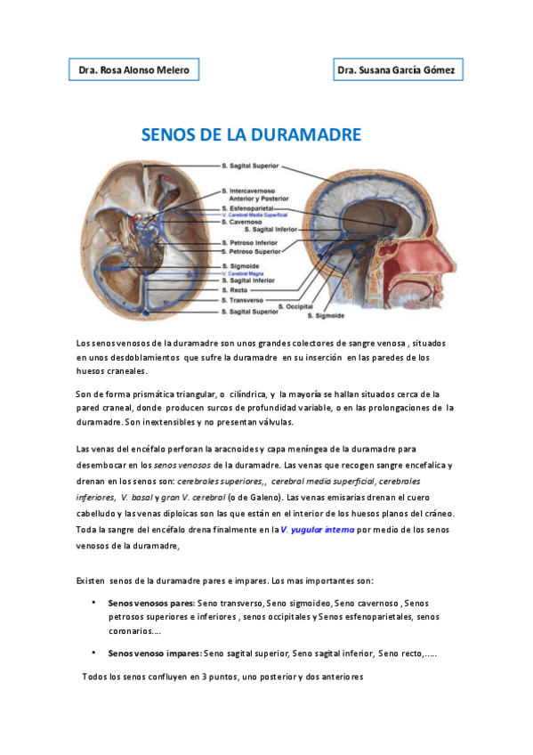 Miniatura del documento SENOS-DE-LA-DURAMADRE.pdf