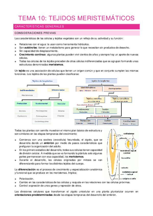 Miniatura del documento Tema-10.pdf