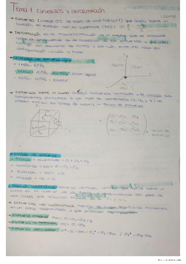 Miniatura del documento estructural-1-resumen-completo.pdf