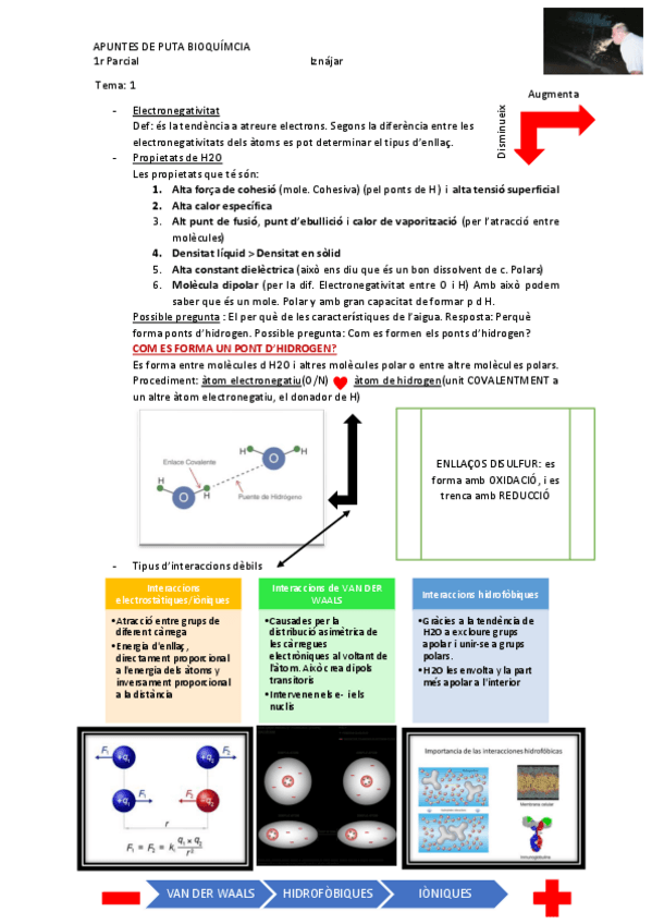 Miniatura del documento Resum-2.pdf