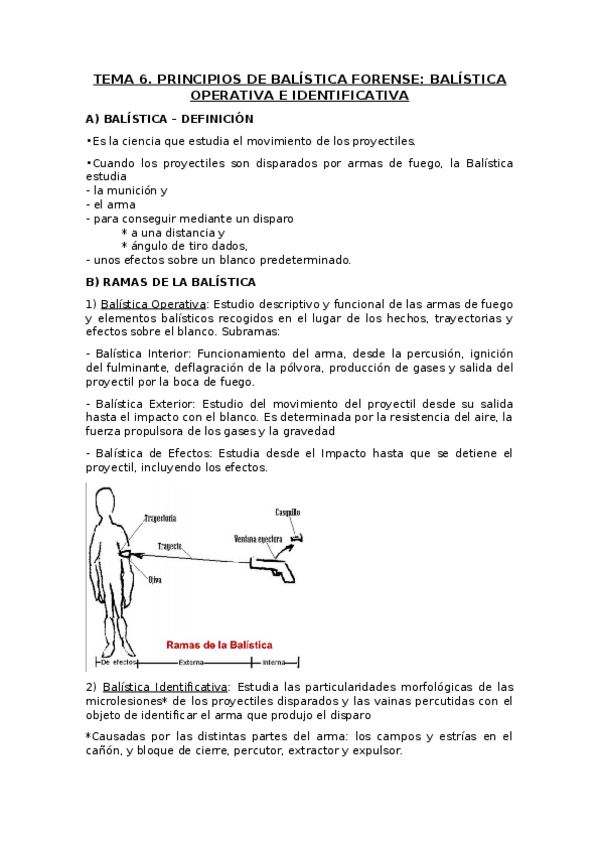 Miniatura del documento Tema 6.docx