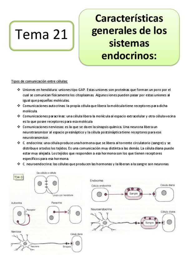 Miniatura del documento tema21.pdf