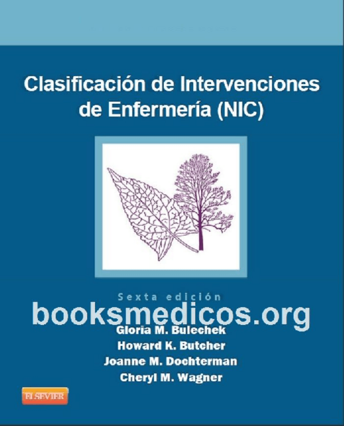 Miniatura del documento NIC.pdf