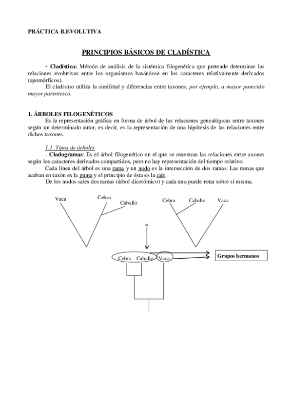 Miniatura del documento Practica cladismo.pdf