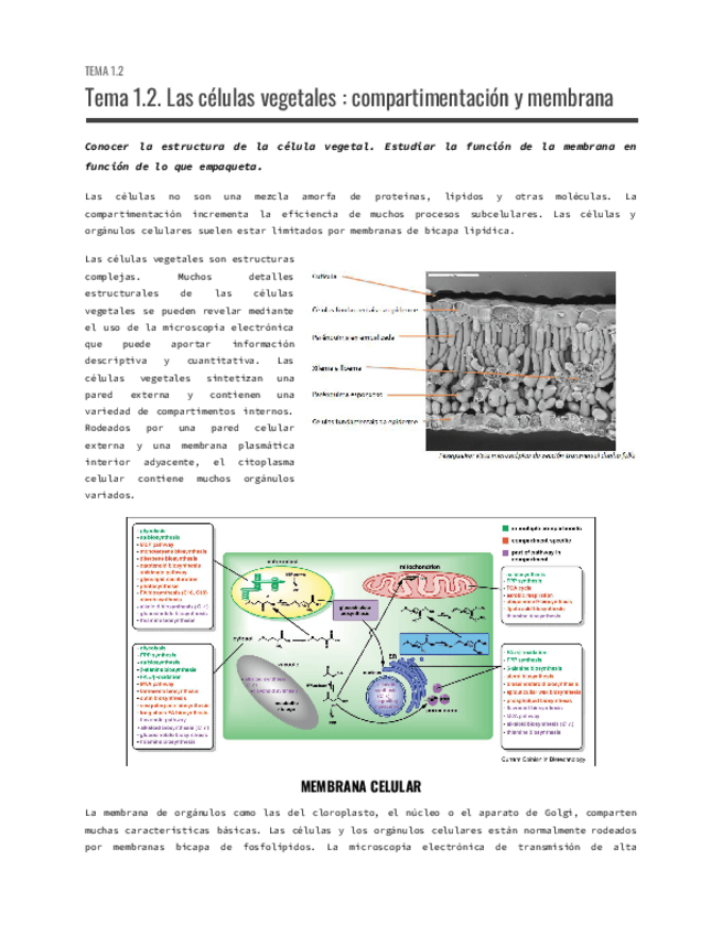 Miniatura del documento Tema-1.2.pdf