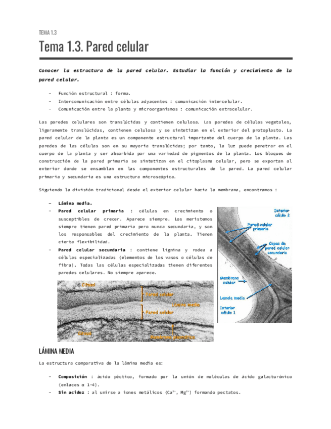 Miniatura del documento Tema-1.3.pdf