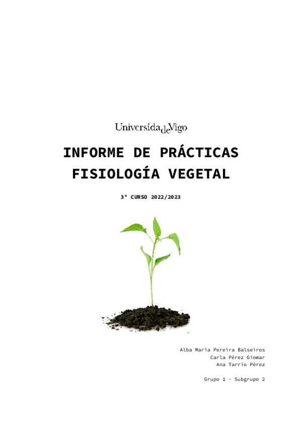Miniatura del documento Informe-Practicas.pdf