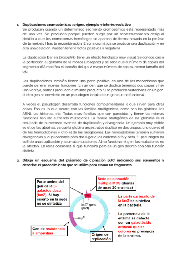 Miniatura del documento Examen.pdf