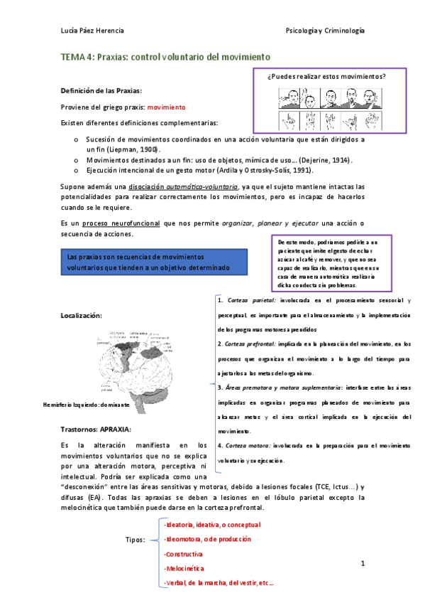 Miniatura del documento Tema 4 Neuropsicología 2.0.pdf