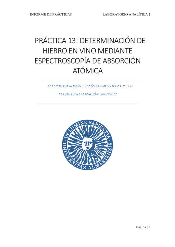 Miniatura del documento INFORME-PRACTICA-13.pdf