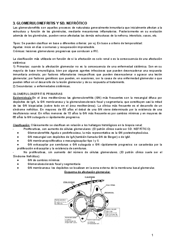 Miniatura del documento t3-nefro.pdf