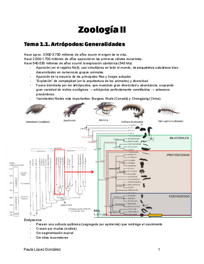 Miniatura del documento resumen-zoo-II.pdf