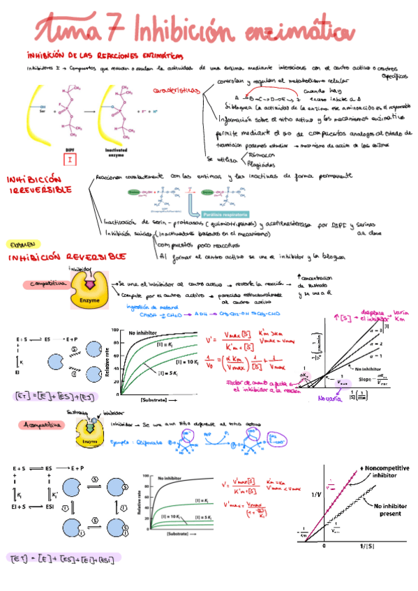 Miniatura del documento Tema-7-Bioquimica.pdf