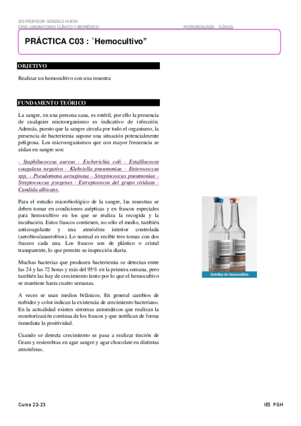 Miniatura del documento C-03-Hemocultivo.pdf