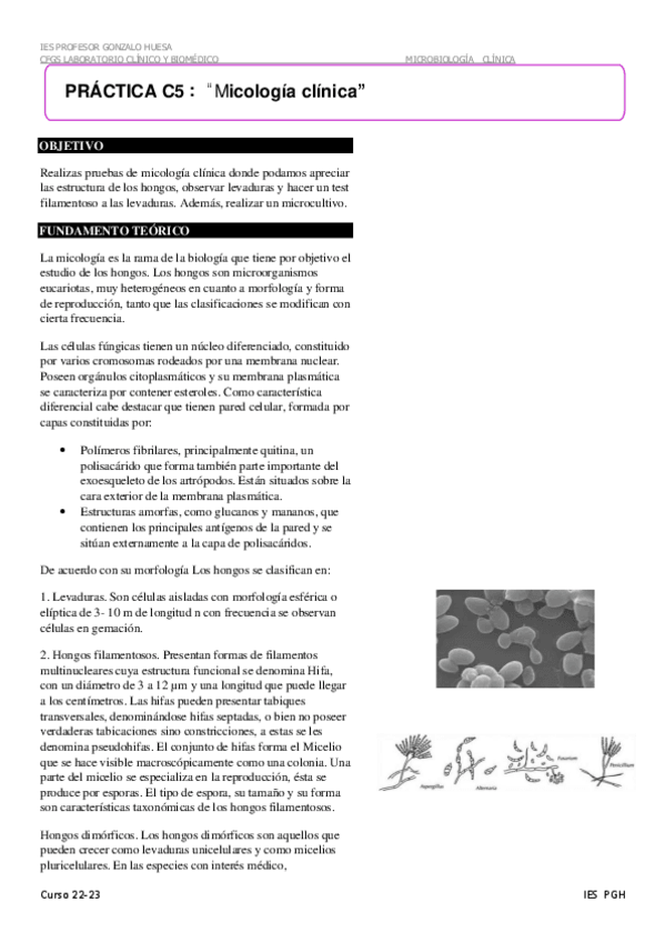 Miniatura del documento C-05-Micologia-clinica.pdf