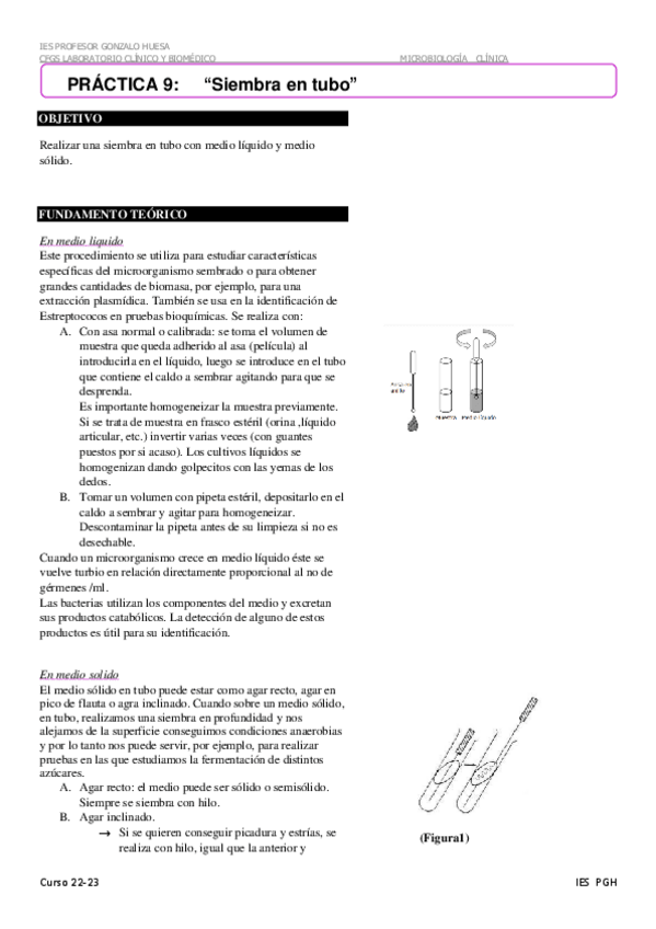 Miniatura del documento Siembra-en-tubo-9.pdf