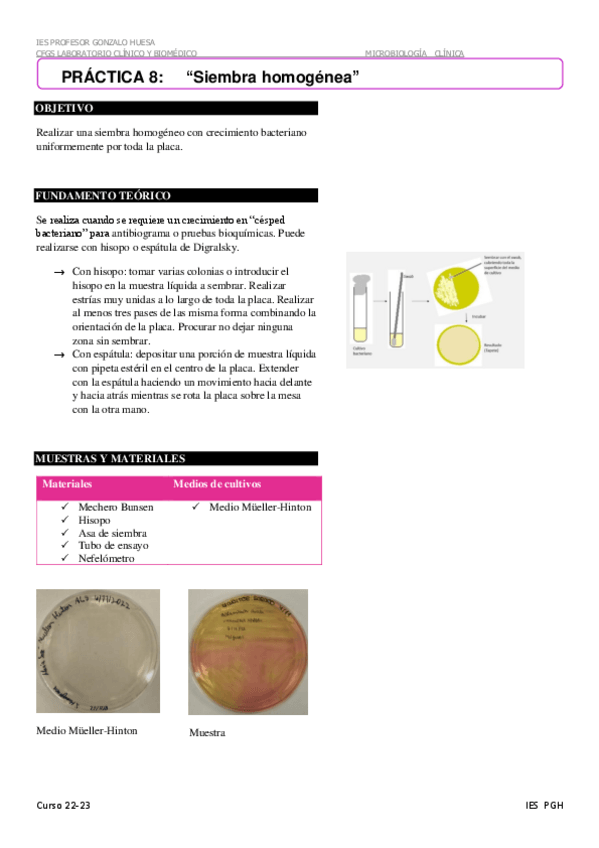 Miniatura del documento Siembra-homogenea-8.pdf