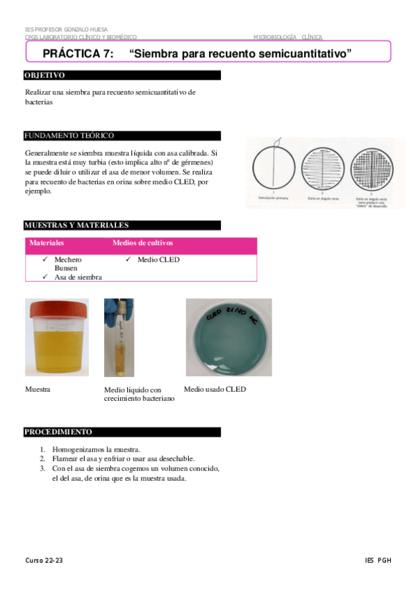 Miniatura del documento Siembra-para-recuento-semicuantitativo-7.pdf