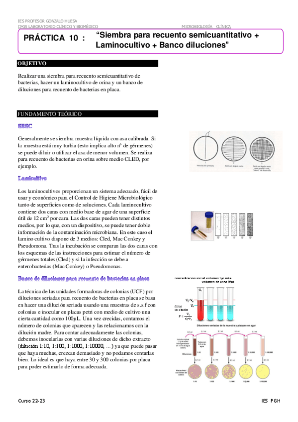 Miniatura del documento Siembra-para-recuento-semicuantitativoLaminocultivo-10.pdf
