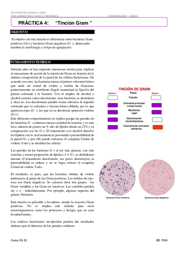 Miniatura del documento Tincion-Gram-4.pdf