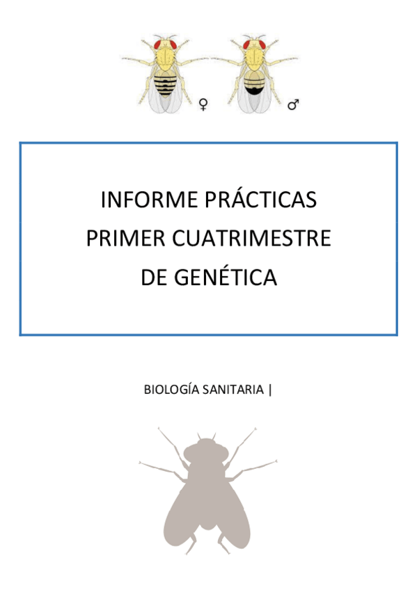 Miniatura del documento informe-practicas-droshophila-y-judias.pdf
