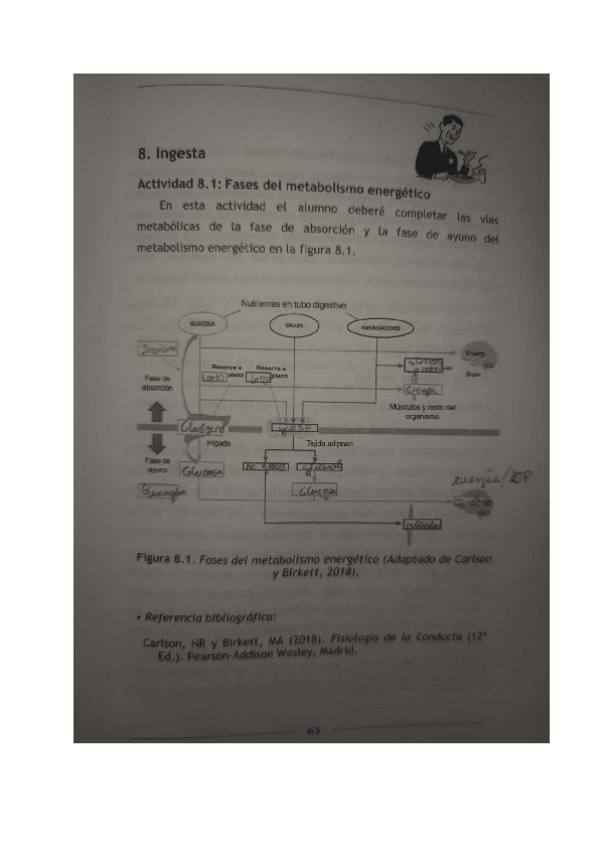 Miniatura del documento Psicologia-fisiologica-cuadernillo-unidad-III.pdf