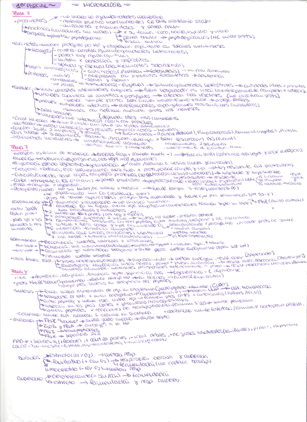 Miniatura del documento resumen-1-parcial-T2-7-y-8.pdf