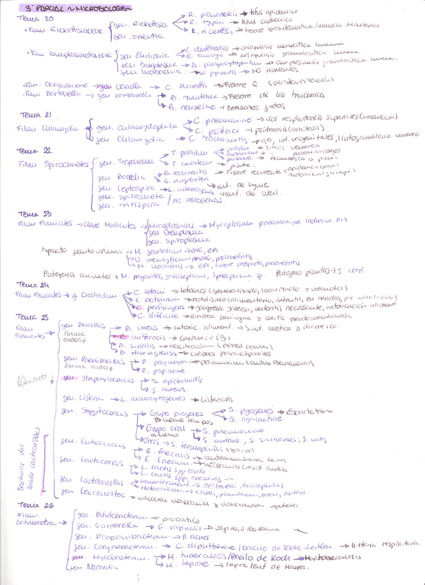 Miniatura del documento RESUMEN-3-PARCIAL-18-26.pdf