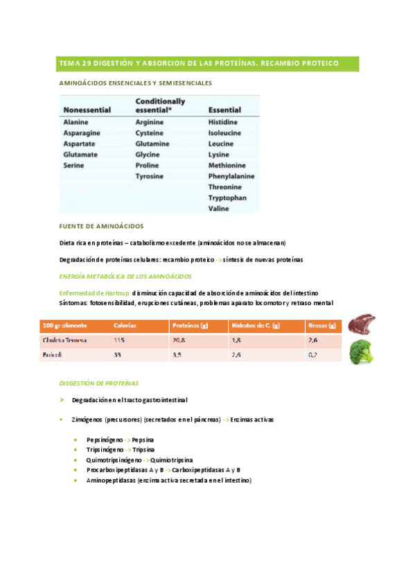 Miniatura del documento Tema-29-Digestion-y-Absorcion-de-las-proteinas-y-Tema-30-Metabolismo-de-los-aminoacidos.pdf