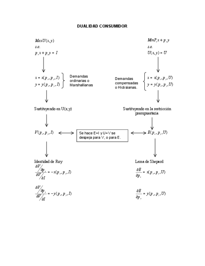 Miniatura del documento La-Dualidad-de-consumidor.pdf