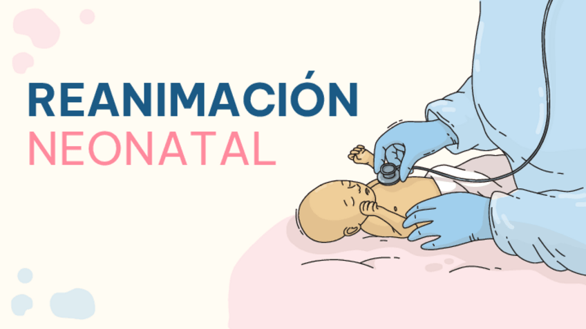 Miniatura del documento REANIMACION-NEONATAL.pdf