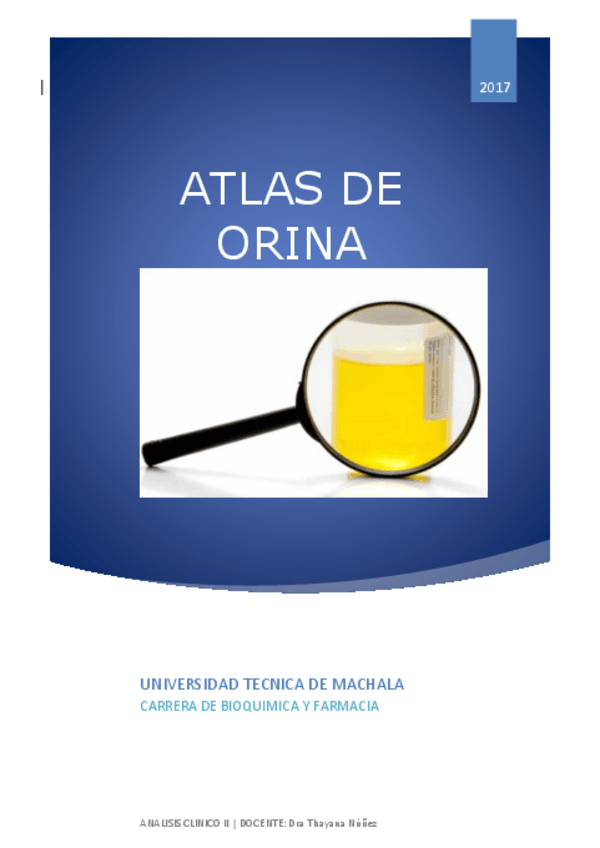 Miniatura del documento INFORMACION-ATLAS-DE-ORINA-DWG.pdf