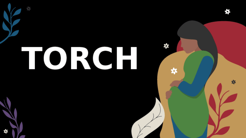 Miniatura del documento TORCH.pdf