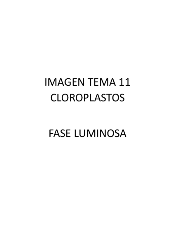 Miniatura del documento Tema-11-imagen-de-completar.pdf