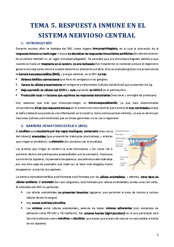 Miniatura del documento Tema 5 - copia.pdf