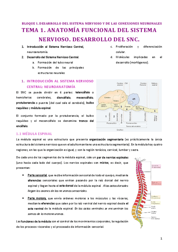 Miniatura del documento Tema 1.pdf