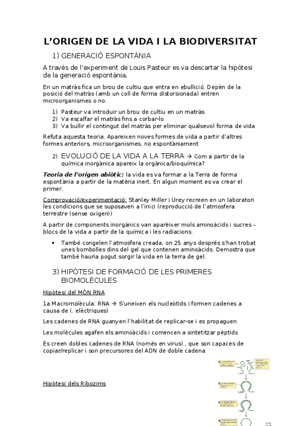 Miniatura del documento TEMA-1.docx