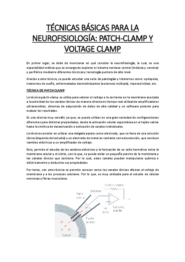 Miniatura del documento TECNICAS-BASICAS-PARA-LA-NEUROFISIOLOGIA.pdf