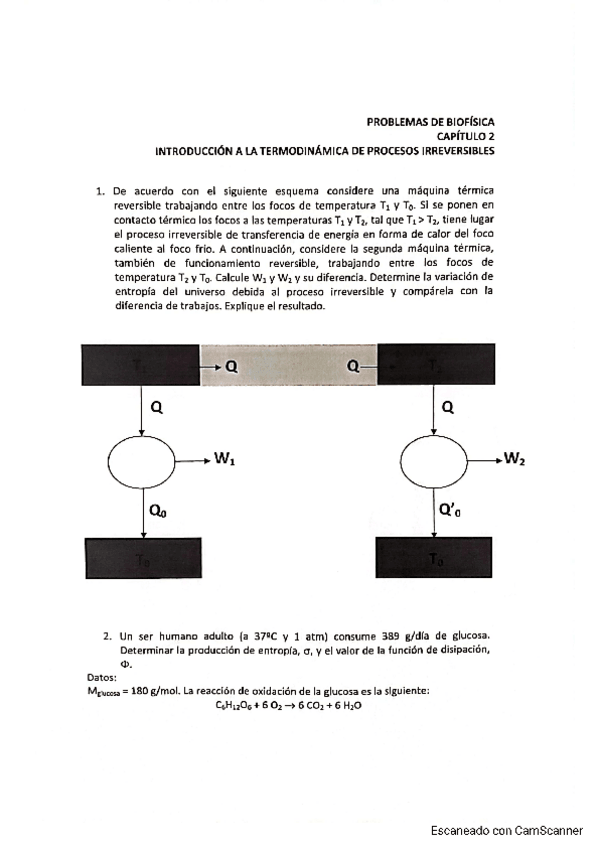 Miniatura del documento RelacionT2.pdf