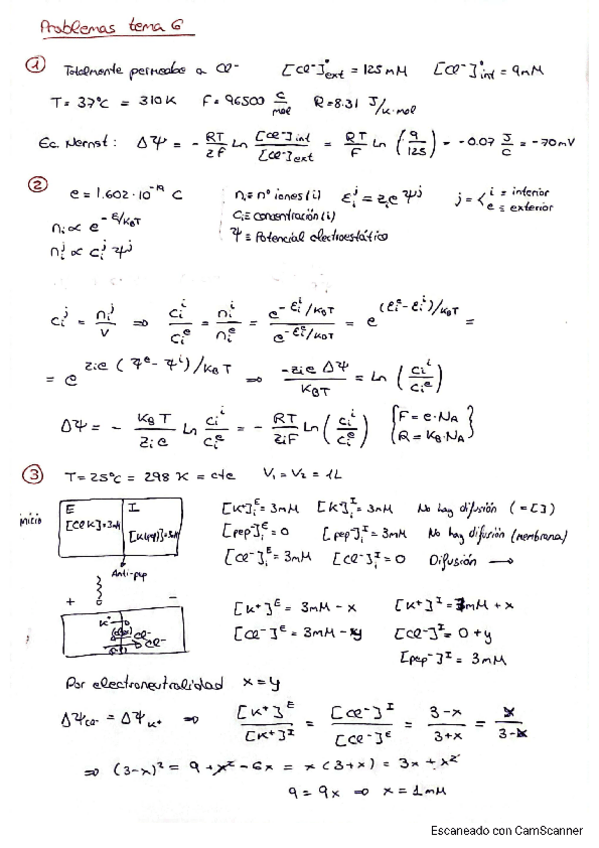 Miniatura del documento RelacionT6.pdf