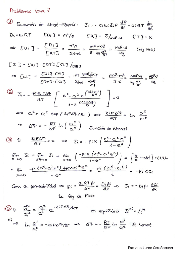 Miniatura del documento RelacionT7.pdf