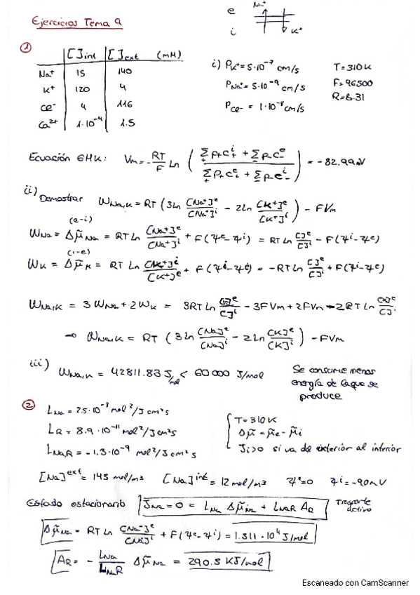 Miniatura del documento RelacionT9.pdf