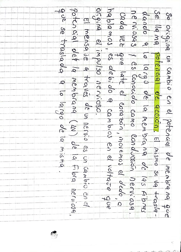 Miniatura del documento CamScanner-24-07-2023-17.3910.jpg