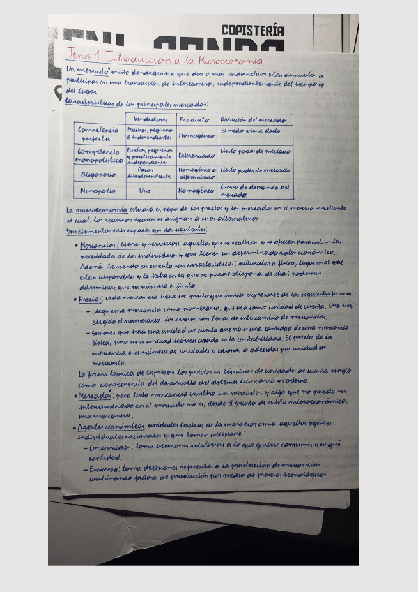 Miniatura del documento Apuntes-microeconomia-230724224409.pdf