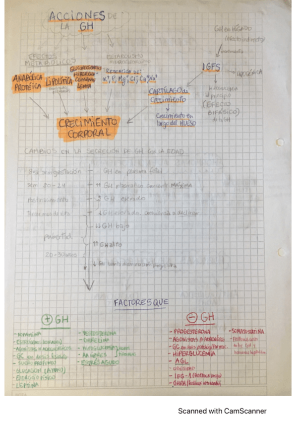 Miniatura del documento Hormona-de-crecimiento-GH.pdf