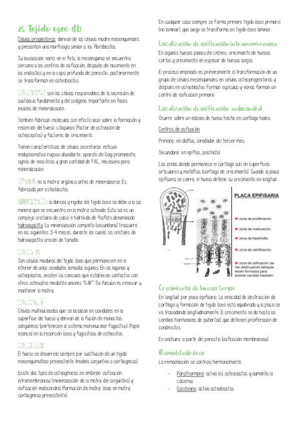 Miniatura del documento Temas2529.pdf